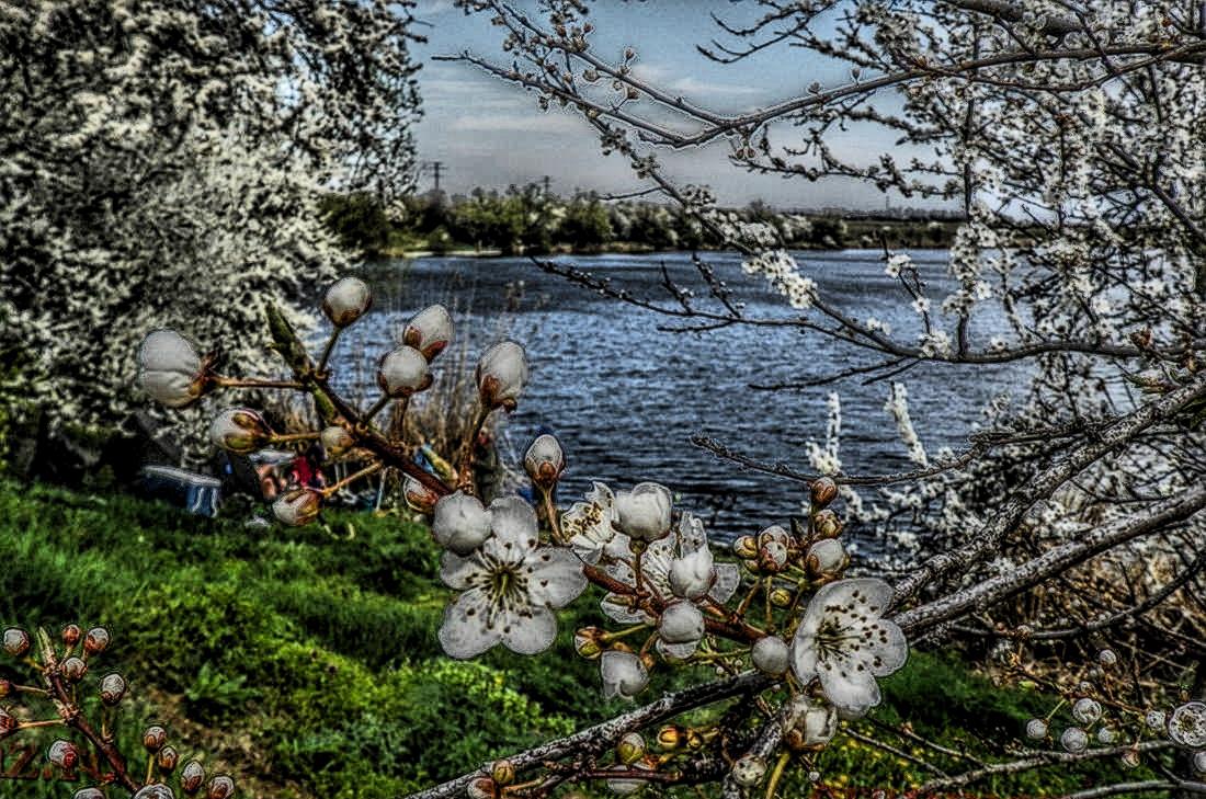 Cupa SBS-2013 - 1010853hdrmode2.JPG